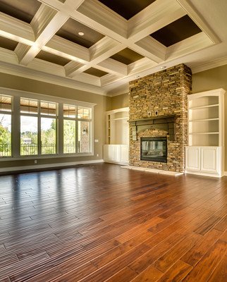 Lot 12 – Heron Preserve: 14534 Gateside Dr. - Fireplace